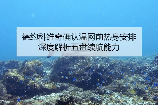 de-yue-ke-wei-qi-que-ren-wen-wang-qian-re-shen-an-pai-shen-du-jie-xi-wu-pan-xu-hang-neng-li-2-132.jpg